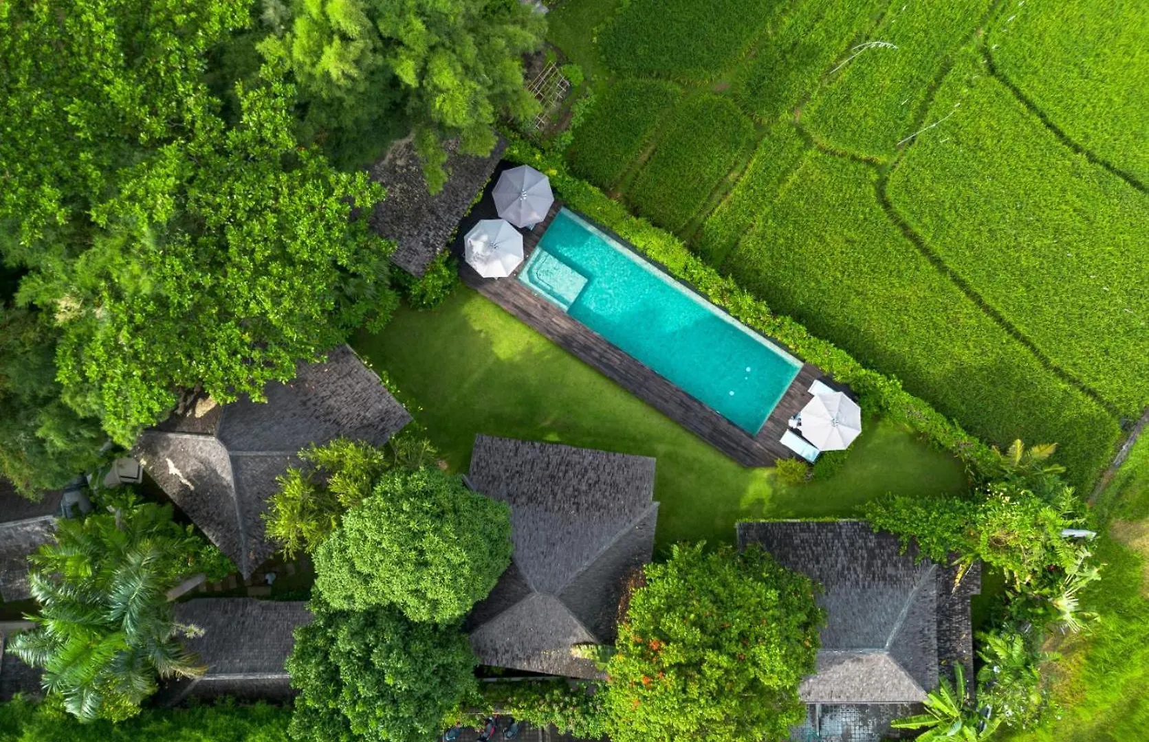 Villa Artis Canggu Hotel