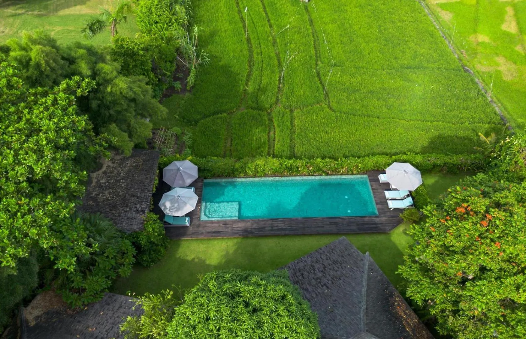 Villa Artis Canggu
